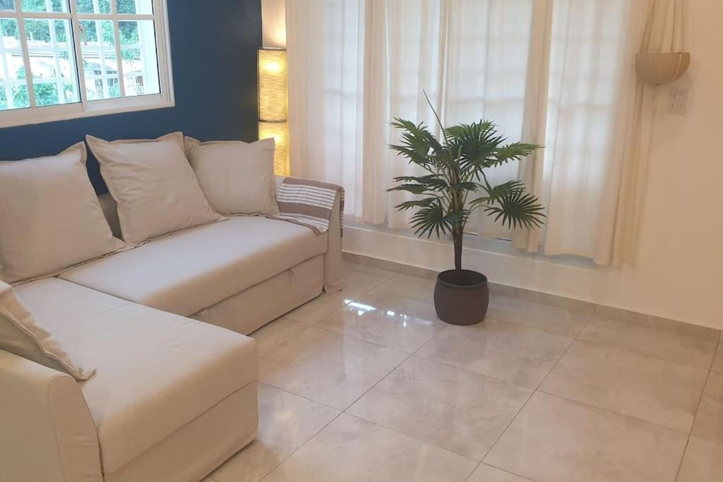 Casamia Rd B&B Río San Juan Extérieur photo