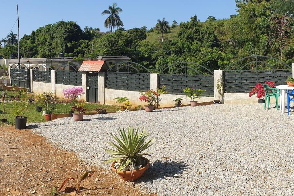 Casamia Rd B&B Río San Juan Extérieur photo